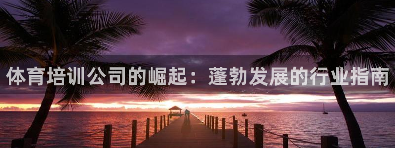 极悦平台是什么：体育培训公司的崛起：蓬勃发展的行业指