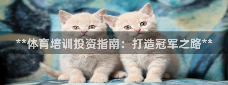 极悦娱乐代理人是谁：**体育培训投资指南：打造冠军之