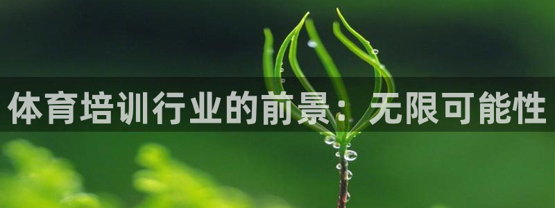 极悦平台app安全吗：体育培训行业的前景：无限可能性
