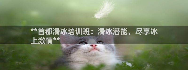 极悦平台官网入口网站：**首都滑冰培训班：滑冰潜能，
