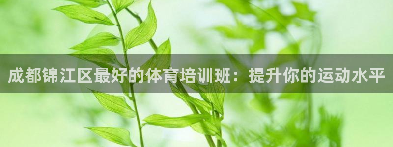 极悦平台平台注册方法与步骤是什么：成都锦江区最好的体育培训班