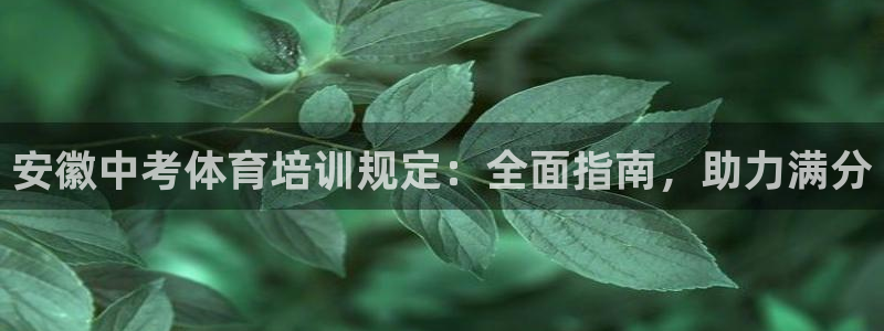 极悦平台注册流程视频：安徽中考体育培训规定：全面指南
