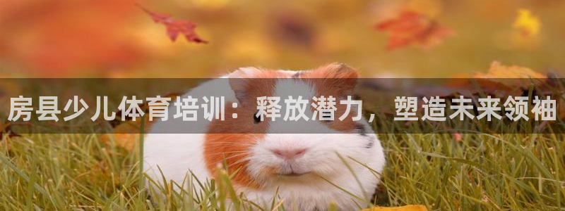 极悦娱乐现在叫什么：房县少儿体育培训：释放潜力，塑造