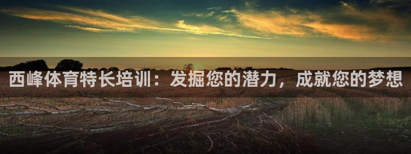 极悦平台app二维码怎么弄：西峰体育特长培训：发掘您