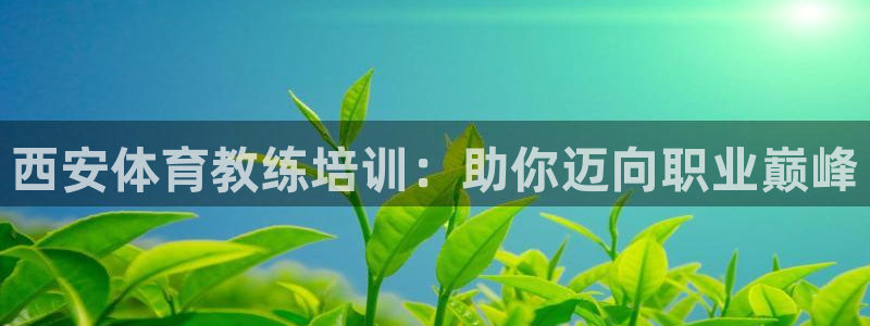 极悦娱乐的创始人背景故事介绍：西安体育教练培训：助你迈向职业