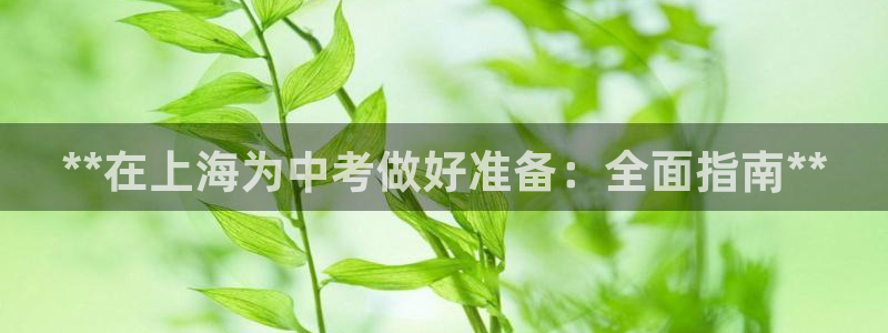 极悦平台注册资金多少钱：**在上海为中考做好准备：全