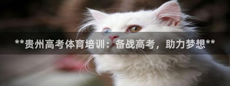 极悦平台官方网站下载安装：**贵州高考体育培训：备战