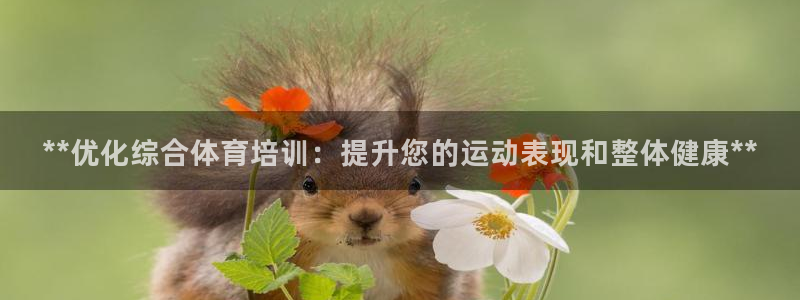 极悦娱乐的创始人背景故事：**优化综合体育培训：提升