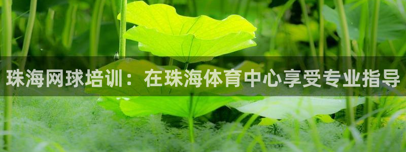 极悦娱乐官网app下载苹果版：珠海网球培训：在珠海体