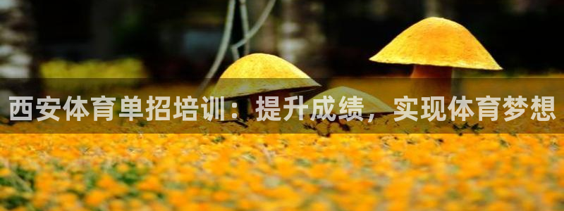 极悦平台客服团队怎么样：西安体育单招培训：提升成绩，