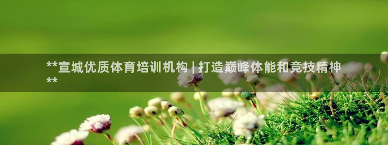 极悦平台官方网站首页入口：**宣城优质体育培训机构 