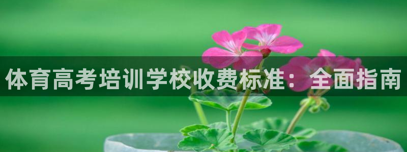 极悦平台官方网址是什么：体育高考培训学校收费标准：全