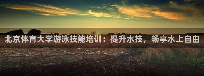 极悦平台官方网站首页：北京体育大学游泳技能培训：提升