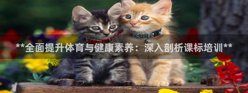极悦平台登录方式怎么改：**全面提升体育与健康素养：
