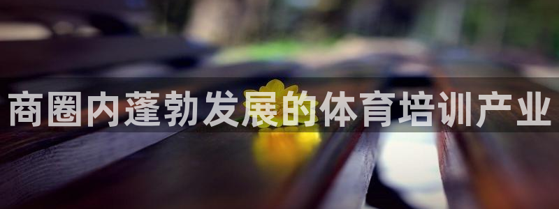 极悦平台用户评价怎么样：商圈内蓬勃发展的体育培训产业