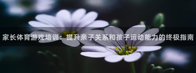 极悦官网首页登录入口下载：家长体育游戏培训：提升亲子
