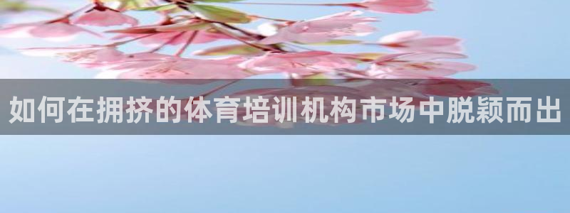 极悦娱乐公司最新招聘信息电话：如何在拥挤的体育培训机