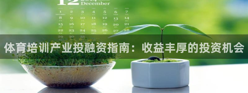 极悦生活家是什么平台的产品：体育培训产业投融资指南：