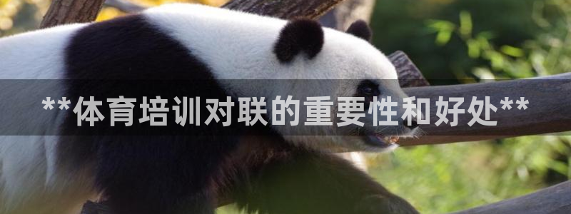 极悦平台代理怎么赚钱：**体育培训对联的重要性和好处