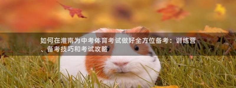 极悦平台官网入口登录：如何在淮南为中考体育考试做好全