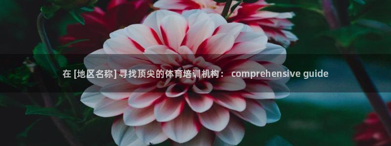 极悦平台用户评价与反馈怎么设置：在 [地区名称] 寻找顶尖的