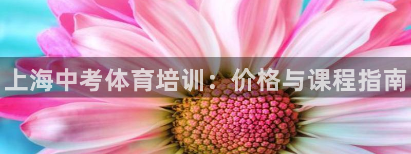 极悦平台是干嘛的公司：上海中考体育培训：价格与课程指南