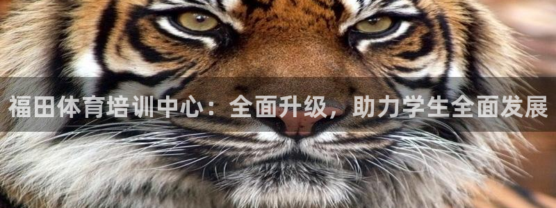 极悦官方网站app下载