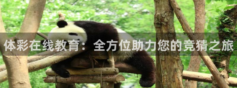 极悦平台的注册流程及注意事项是什么