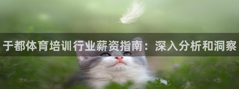 极悦平台是正规平台吗安全吗可靠吗：于都体育培训行业薪资指南：