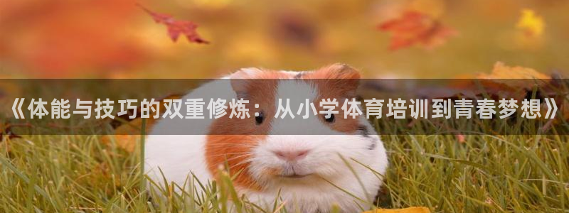 极悦平台股东名单