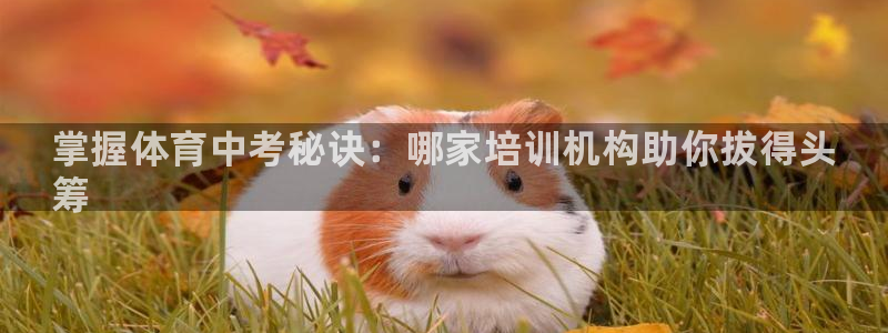 极悦官网下载最新版本更新内容视频